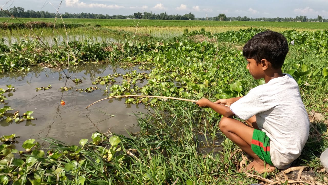 Little boy hunting catching koi fish by hook 🪝 small boy catching