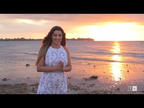 El Amor - El Amor