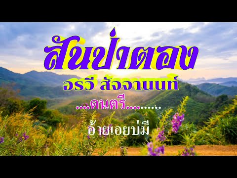 ♬สันป่าตอง อรวี สัจจานนท์ #karaoke #คาราโอเกะ