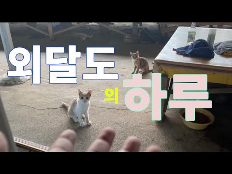 영상썸네일