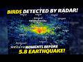 Oklahoma Earthquake: Radar Detected Birds Taking Flight Before 5.8 Quake