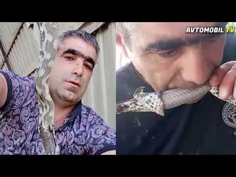 Video: Çiy yemək yeyən nə yeyir