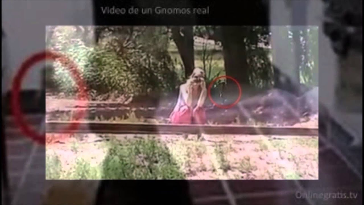 Imagenes Reales De Gnomos Y Duendes | imagenes de gnomos y adas reales el murcio show youtube Imagenes Reales De Gnomos Y Duendes | imagenes de gnomos y adas reales el murcio show youtube