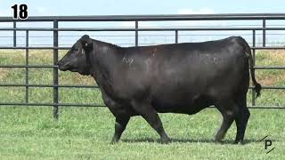 Lot 18