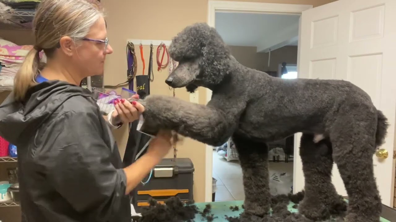 Fast and easy Lamb Trim basics