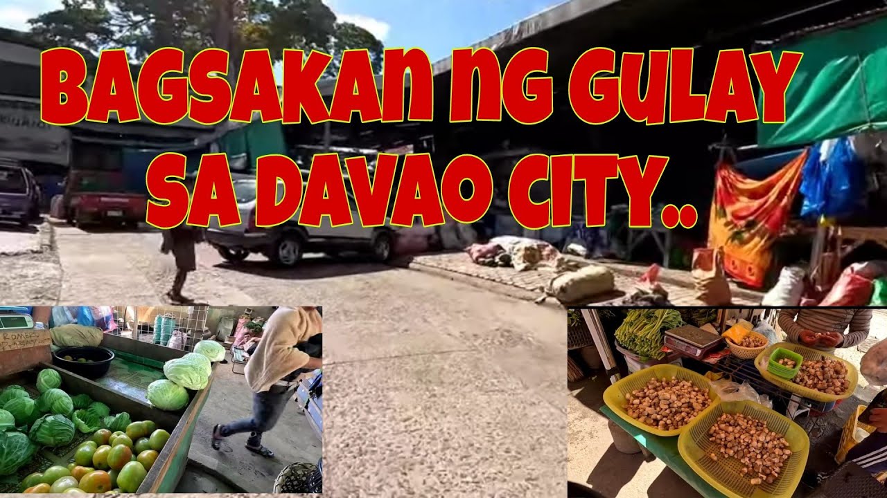 Davao city | Bankerohan Market | Bagsakan ng Gulay | 300 per kilo ang Volva Mushroom dito