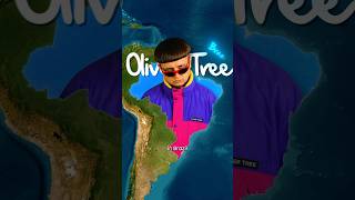 What Happened to Oliver Tree? Brazil Helicopter Crash Explained#OliverTree #BrazilCrash