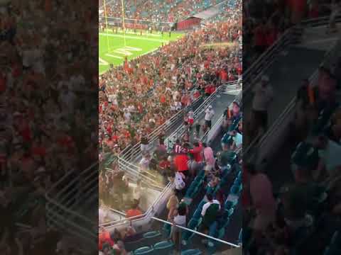 FANS CATCH FALLING CAT AT MIAMI GAME 😱😱 #shorts