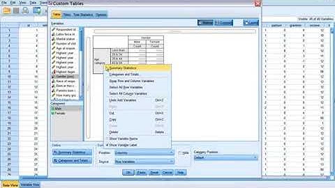 IBM SPSS Custom Tables Demo