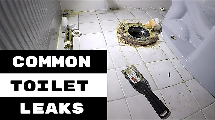 PLUMBING REPAIRS | TOILET REPAIRS | COMMON PROBLEMS