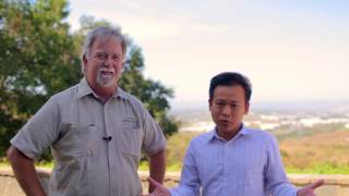 Monocrystalline vs Polycrystalline