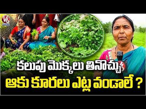 Grass Greens Exhibition at DDS KVK center In Sangareddy | V6 News - V6NEWSTELUGU