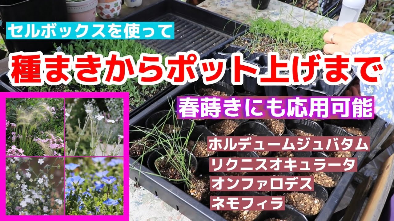 From sowing seeds to potting up 🌱 Can also be used for spring