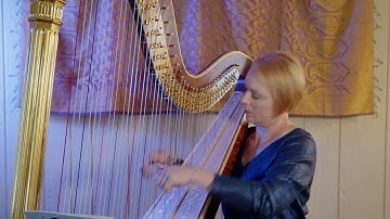 Harp of Ages Excerpt | Courtney Hershey Bress