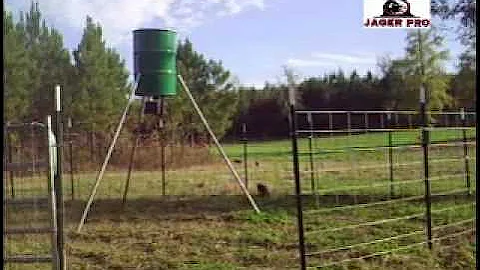 Wild Hog Trapping |(4) Using Video Intelligence To Improve Capture Success | JAGER PRO™