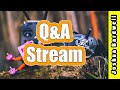 Q&amp;A Livestream - March 3, 2024