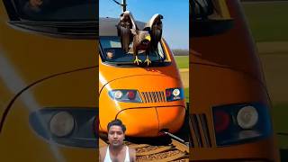 A HERO EAGLE Saves Train Passengers from Explosive