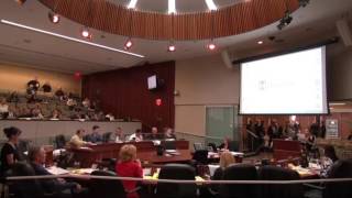 Michelle Hruschka, delegation, Hamilton City Council SPECIAL GIC ON LRT for April 19, 2017