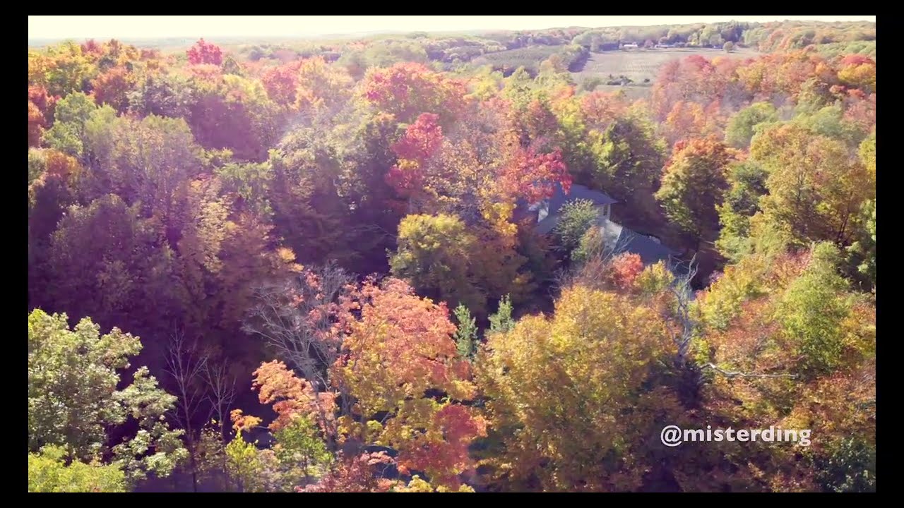 2020 October Michigan Up North autumn foliage [aerial] 4K