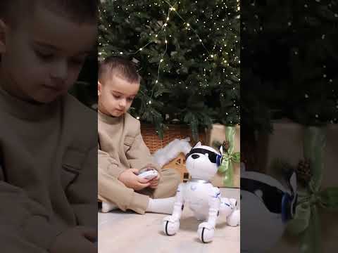 Собачка на радіокеруванні 20 команд А 002, видео 1