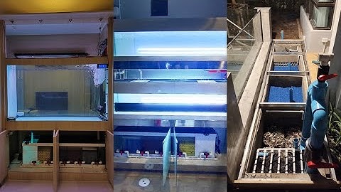 Nong โหน่ง บรมราชชนนี - งาน Overflow Full Services บ่อปลา 4 เมตรติดกระจกต่างระดับ + ท่อบล็อคลม Set 3