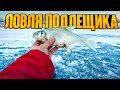 ПОДЛЕЩИК и СУДАК на Рузе. Куча бели и ловля с эхолотом