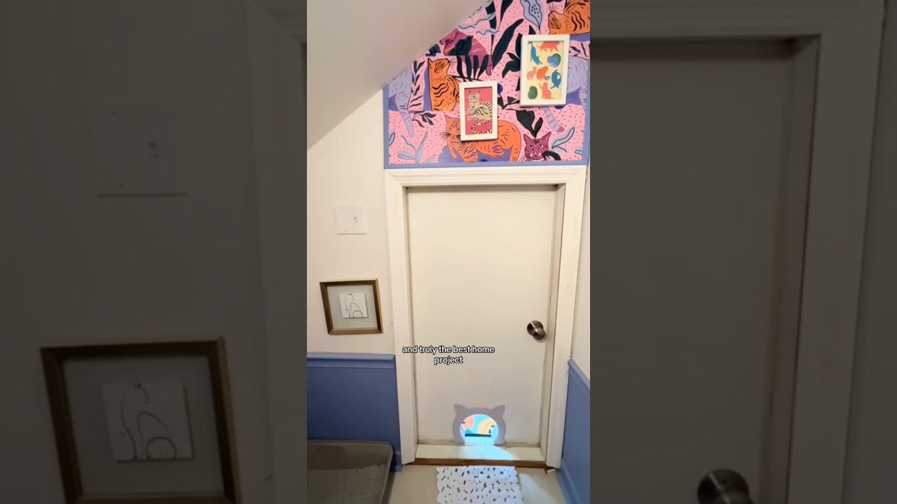 BUILDING MY CATS THEIR OWN ROOM—THE REVEAL! 