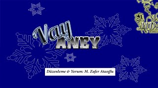 Vay Aney Md