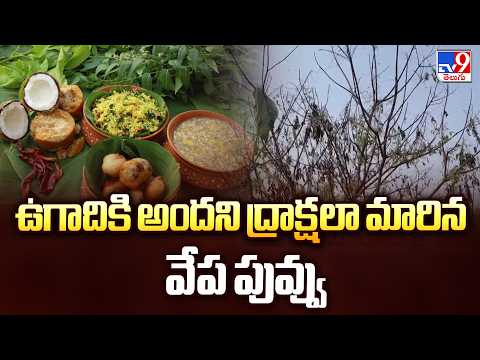 Lack of Neem Flower for Making Ugadi Pachadi : ఉగాదికి అందని ద్రాక్షలా మారిన వేప పువ్వు - TV9 - TV9
