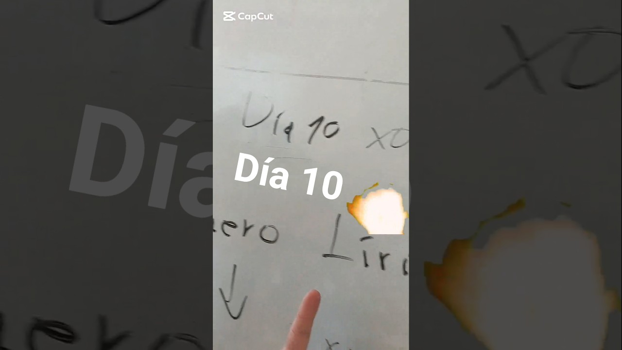 Día 10 vendiendo cartón por el S26 Ultra #smartphone #s26ultra #reciclaje #humor @Samsung