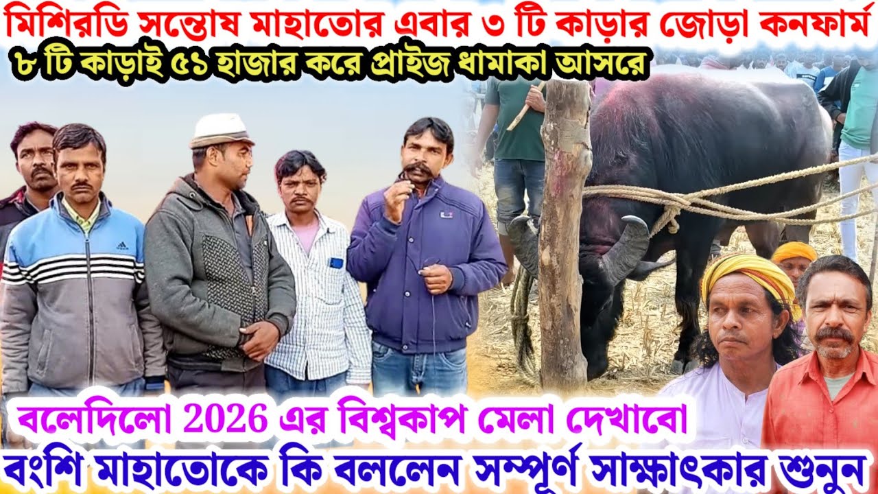 মিশিরডি সন্তোষ🌼মাহাতোর এবার ৩ টি কাড়ার জোড়া কনফার্ম ৮ টি ৫১ হাজার প্রাইজ🔥আগাম কি বললেন শুনুন💢