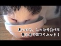 「ピュリナワン 美味を求める成猫用 サーモン」を食べるぷ～ちゃん