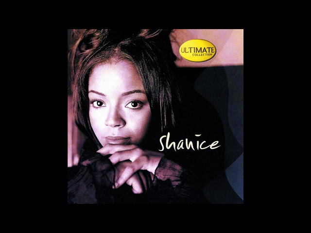 希少USプロモ SHANICE /TURN DOWN THE LIGHTS Shanice – Turn Down The Lights – CD (Single, Promo), 1994