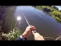 PERCH FISHING - Canal & River | DROPSHOT & LURES