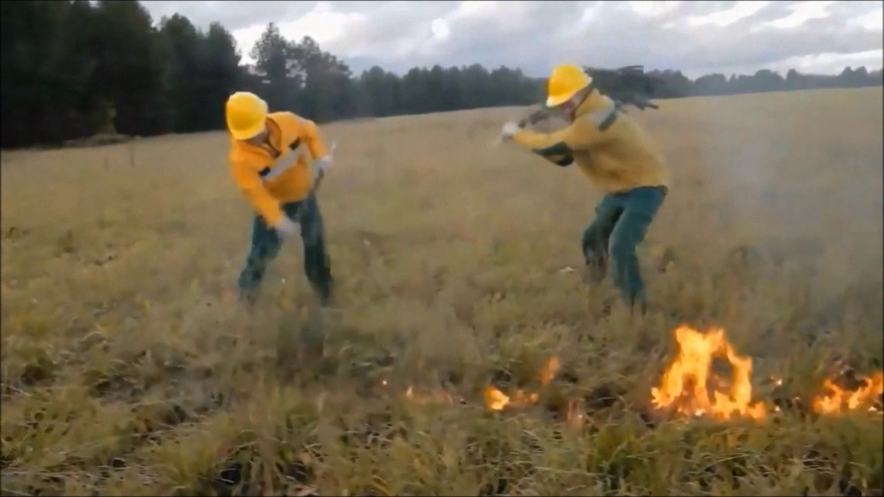 Видео "Пожар в лесу"