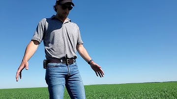 The Future Hard Red Spring Wheat for Western Canada