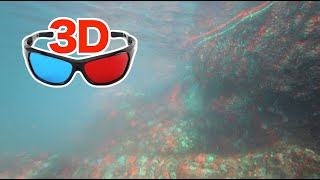 [3D video Anaglyph] Underwater shooting / for red-cyan anaglyph glasses