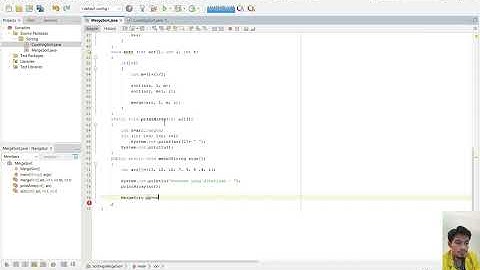 Tugas Praktikum 2 Struktur Data | MergeSort dan CountingSort