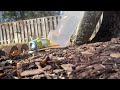 Hatsan flash qe .25 cal vs Ice can and ballistic gel bear