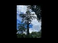 Amazing grace...Piano music