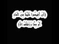 قلبي وقلبك قاسي 