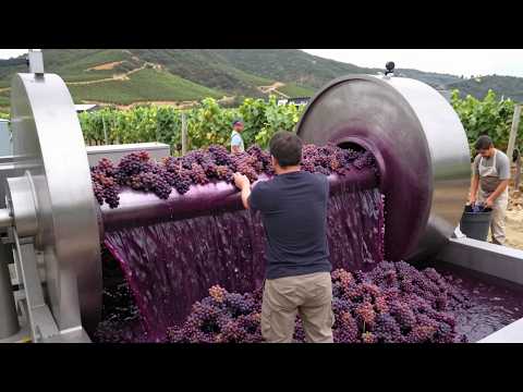 10 Machines You Need To See To Believe!