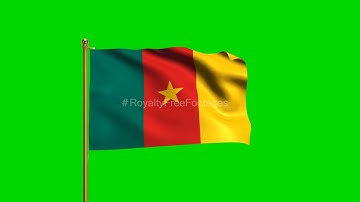 Cameroon National Flag HD | World Countries Green Screen Flag animation loop | Royalty Free Footages