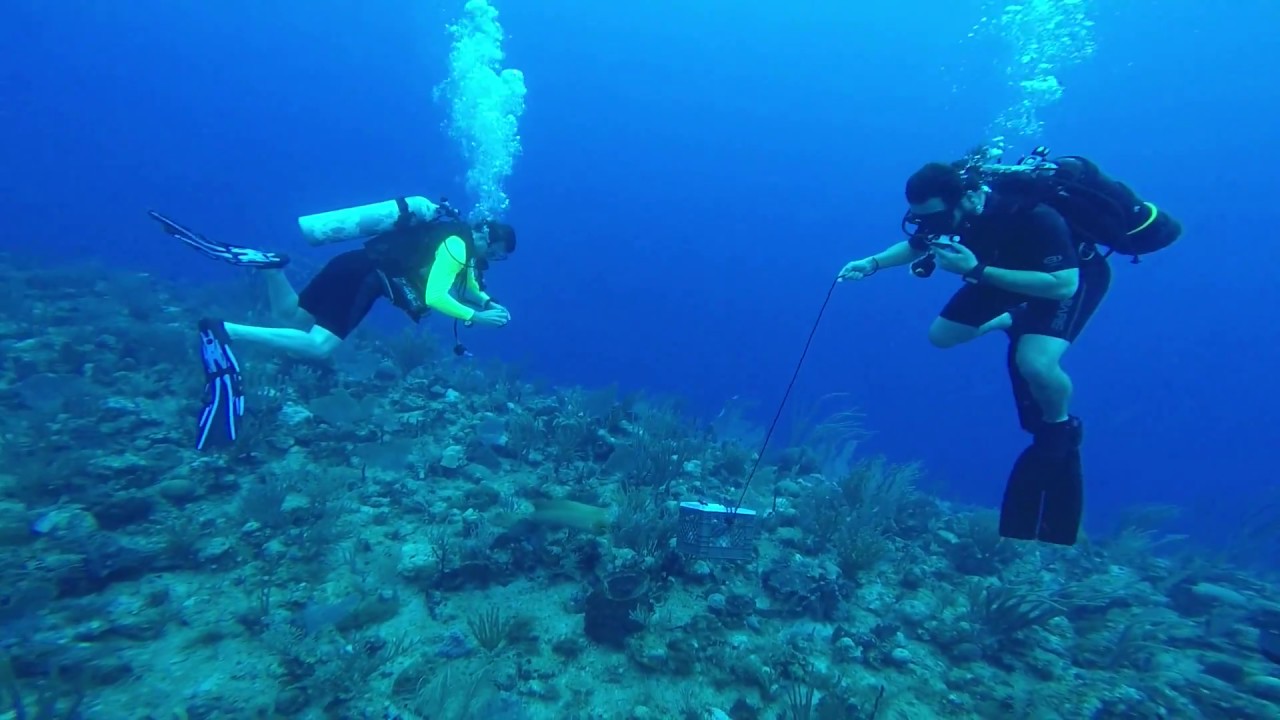 First scuba diving experience (Part III) - YouTube