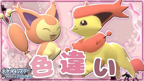 ポケモンbdsp 半年フライングで虫捕りに行く饅頭ども 色違いバルビートとイルミーゼが欲しい ゆっくり実況 Mp3