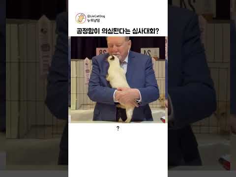 사심채우러 나온게 분명한 집사위원? thumbnail