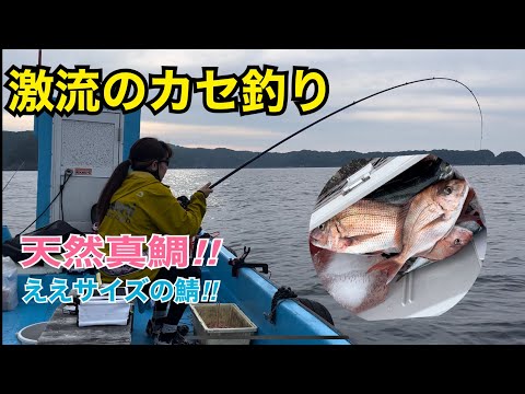田村釣具　河豚 田村釣具 河豚