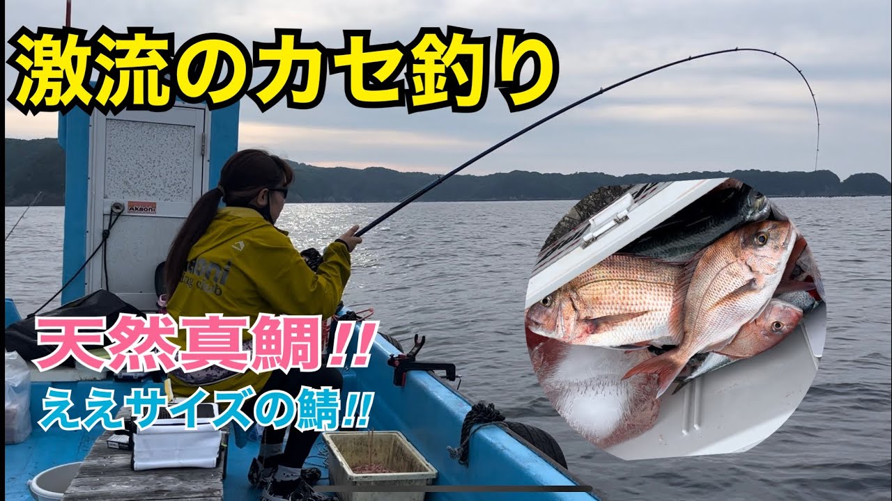 串本カセ釣り　河田フィッシング　激流の完全フカセ‼︎