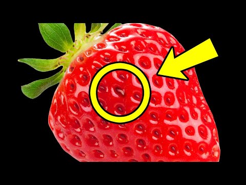 Vidéo: Charançon sur une fraise. Façons de se battre
