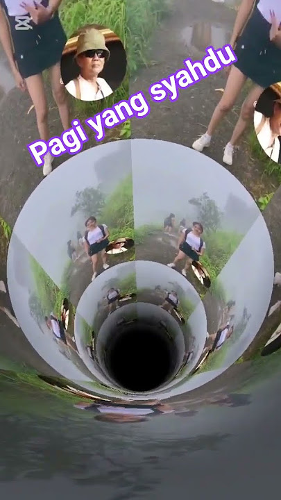 pagi-pagi yang syahdu berkabut# gunung #blackpink @mbahsentotCAcannel